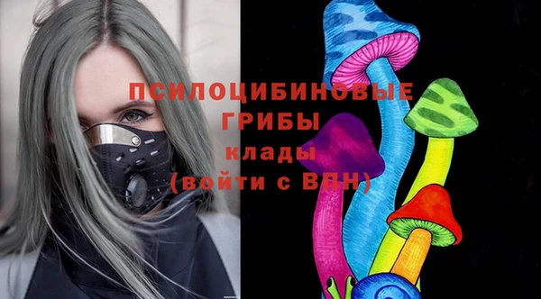 бошки Абдулино