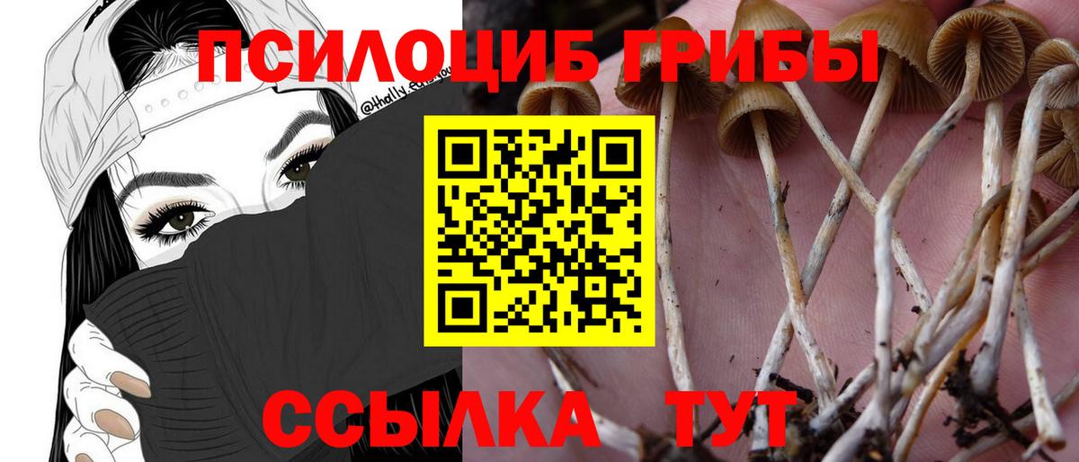 Псилоцибиновые грибы GOLDEN TEACHER Домодедово